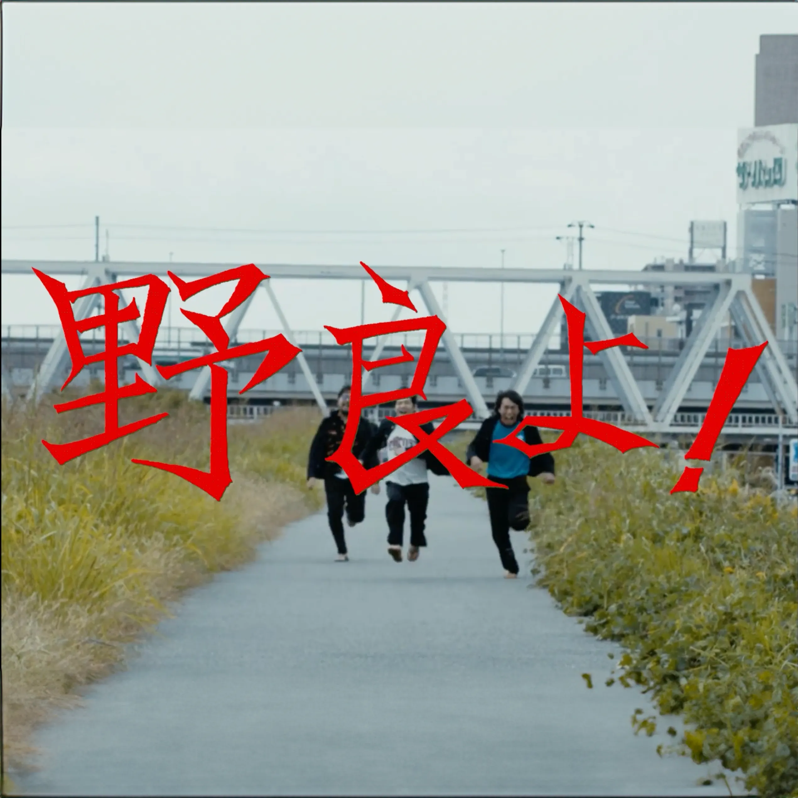 台風クラブ/野良よ！